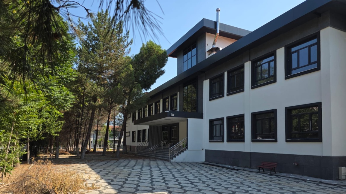 Demir Çelik Anadolu Lisesi